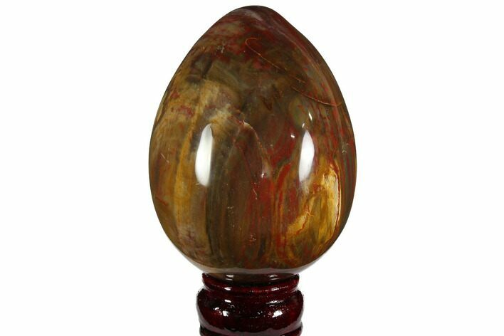 Colorful, Polished Petrified Wood Egg - Triassic #111031